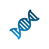 მემკვიდრეობითობის,როგორც ფეხების ტკივილის რისკის ფაქტორის სიმბოლო ქრონიკული ვენური უკმარისობის დროს